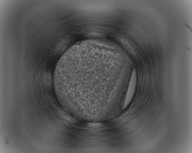 X0000091010457200708301402