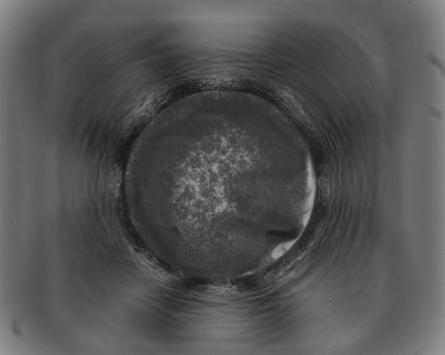 X0000091010458200708301402