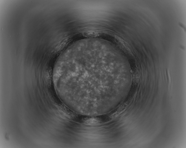 X0000091010460200708301402