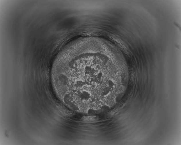 X0000091010461200708301402