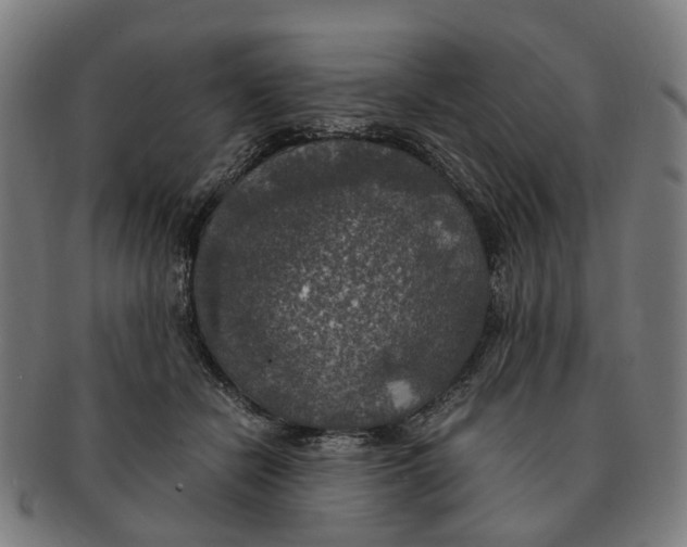 X0000091010462200708301402