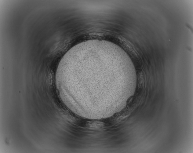 X0000091010463200708301402