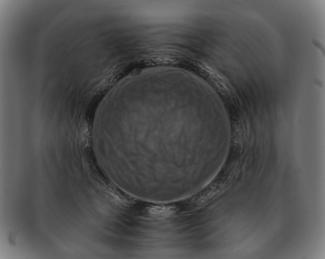 X0000091010465200708301402