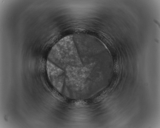 X0000091010468200708301402