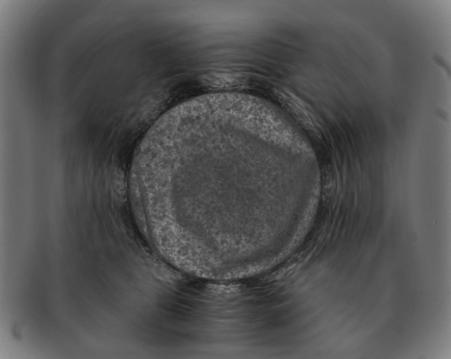 X0000091010469200708301402