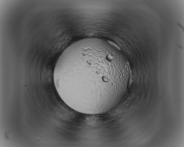 X0000091010470200708301402