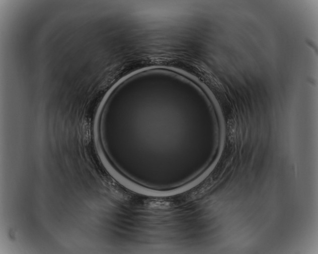 X0000091010471200708301402