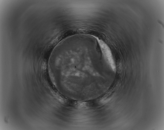 X0000091010472200708301402