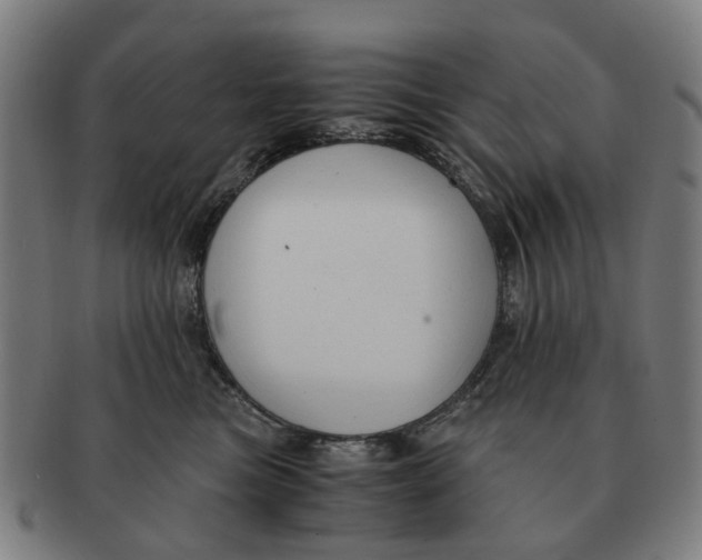 X0000091010473200708301402