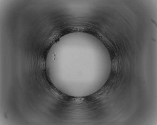 X0000091010474200708301402