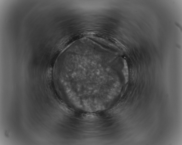 X0000091010475200708301402