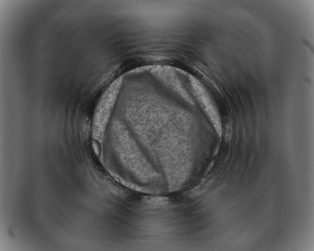 X0000091010476200708301402