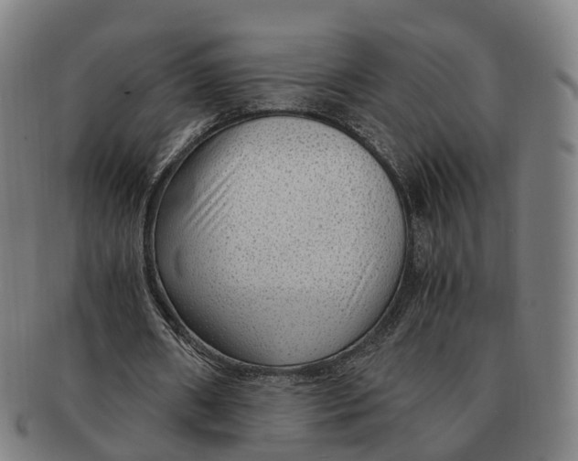 X0000091010482200708301401