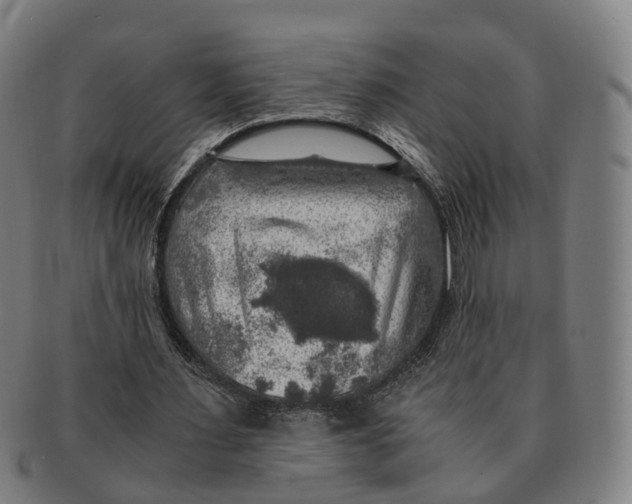 X0000091010483200708301401