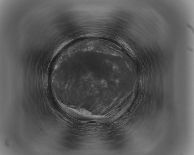 X0000091010484200708301401