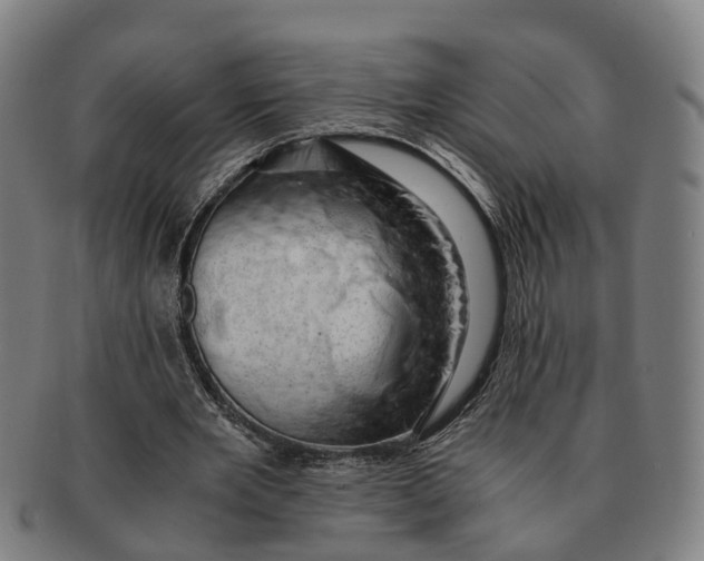 X0000091010485200708301401