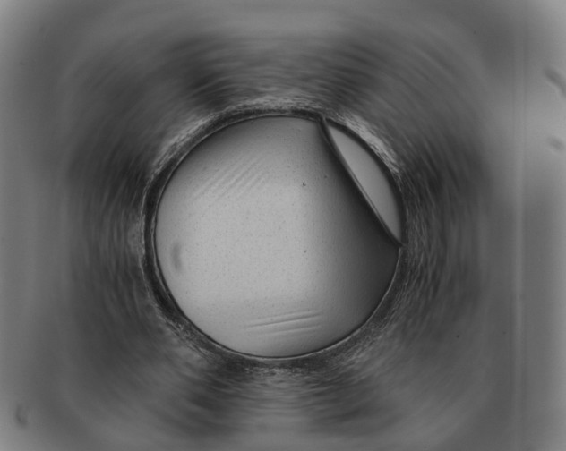 X0000091010486200708301401
