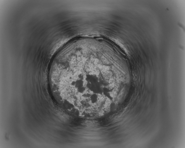 X0000091010487200708301401