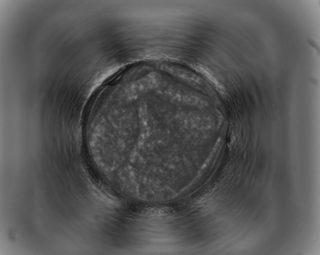 X0000091010488200708301401
