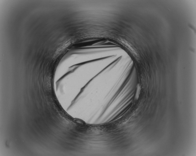 X0000091010489200708301401