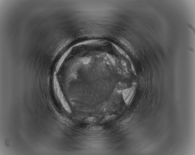 X0000091010491200708301401