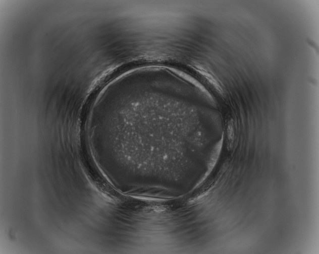 X0000091010492200708301401