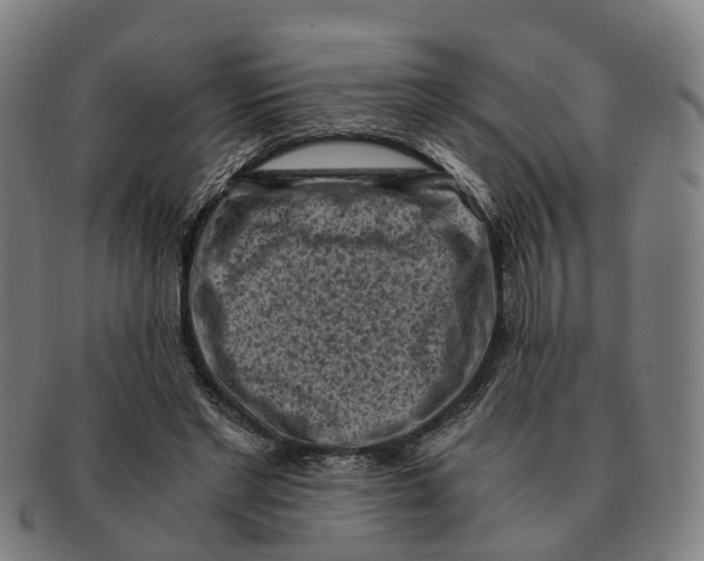 X0000091010493200708301401