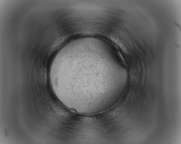X0000091010494200708301401