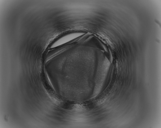 X0000091010496200708301401