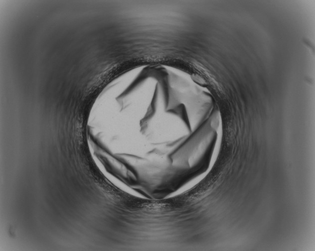 X0000091010497200708301401