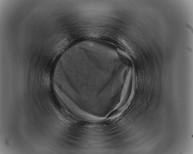 X0000091010500200708301401