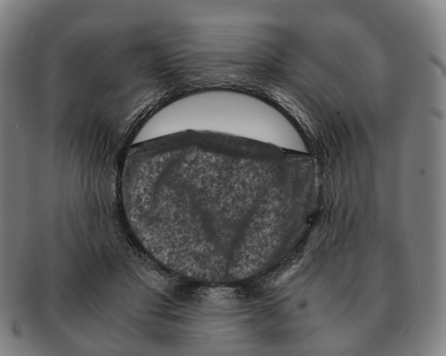 X0000091010501200708301401
