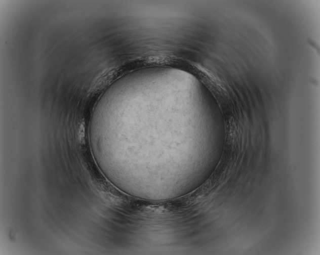 X0000091010502200708301401