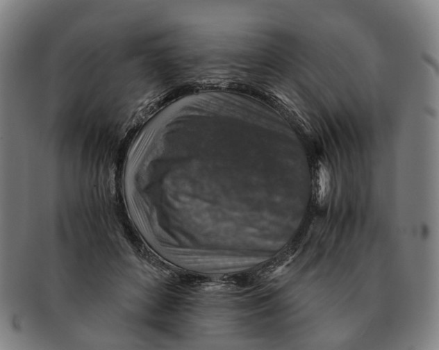 X0000091010504200708301401