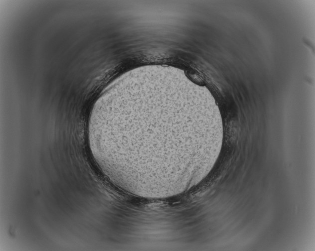 X0000091010505200708301401