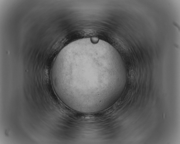 X0000091010506200708301401