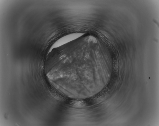 X0000091010507200708301401