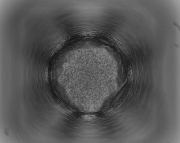 X0000091010508200708301401