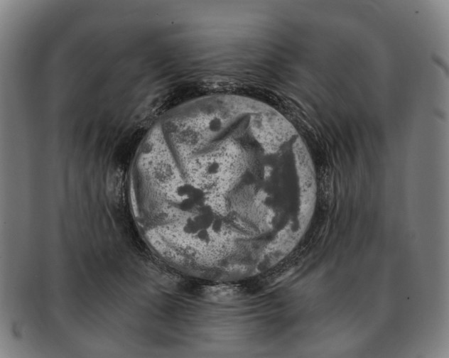 X0000091010511200708301401