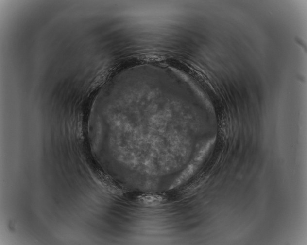 X0000091010512200708301401