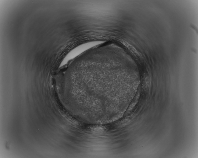 X0000091010513200708301401