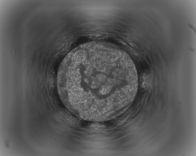 X0000091010515200708301401