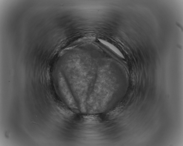 X0000091010516200708301401