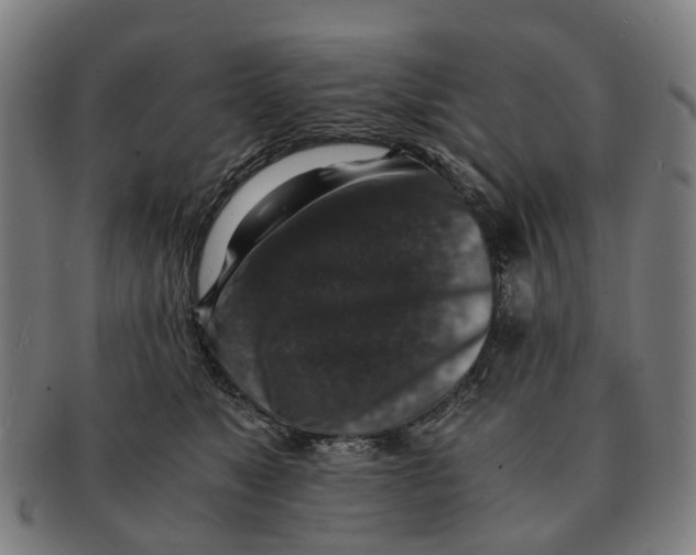 X0000091010517200708301401