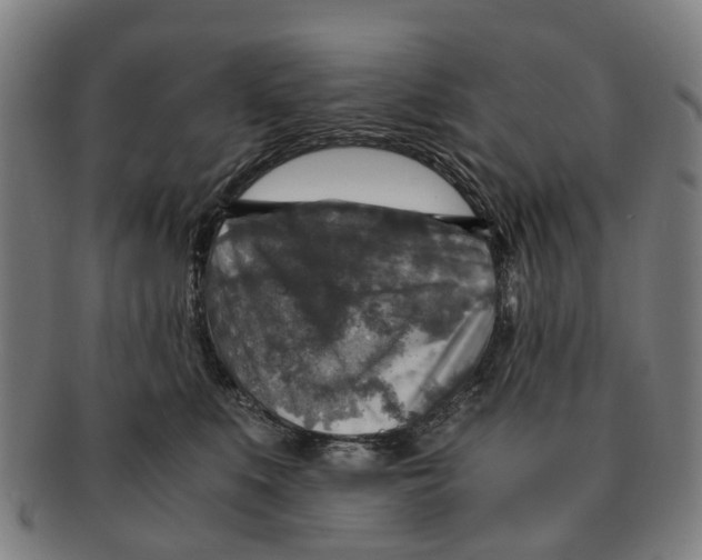 X0000091010519200708301401