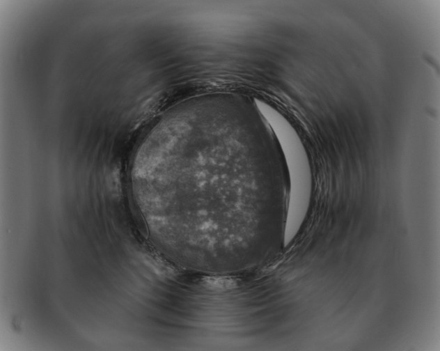 X0000091010520200708301401