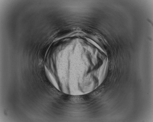 X0000091010521200708301401