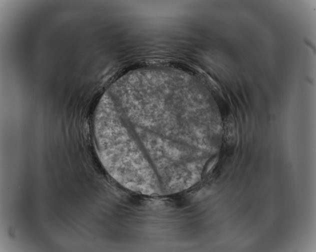 X0000091010523200708301401