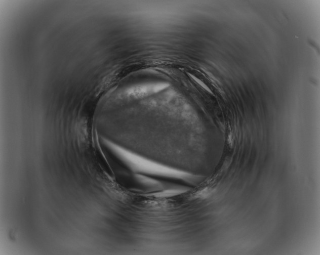 X0000091010524200708301401