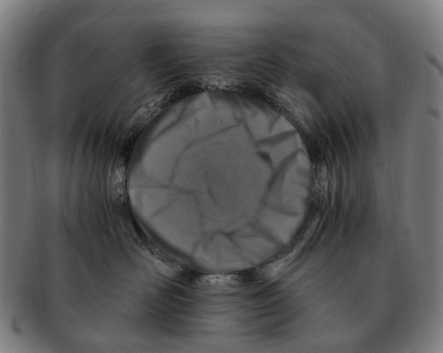 X0000091010526200708301400